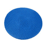 Lion Haircare Disposable Blue Hair Net (Pack of 50)