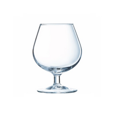Arcoroc Degustation Brandy Glass 8.75oz (Pack of 24)