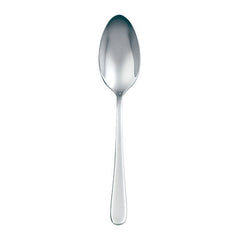 DPS Flair 18/10 Stainless Steel Tea Spoon (Pack of 12)