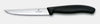 Victorinox Swiss Steak Knife Pointed 6"